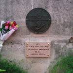 plaques-nueve.jpg